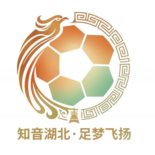 湖北省城市足球联赛 孝感孝傲江湖队VS仙桃黄鳝队20260523